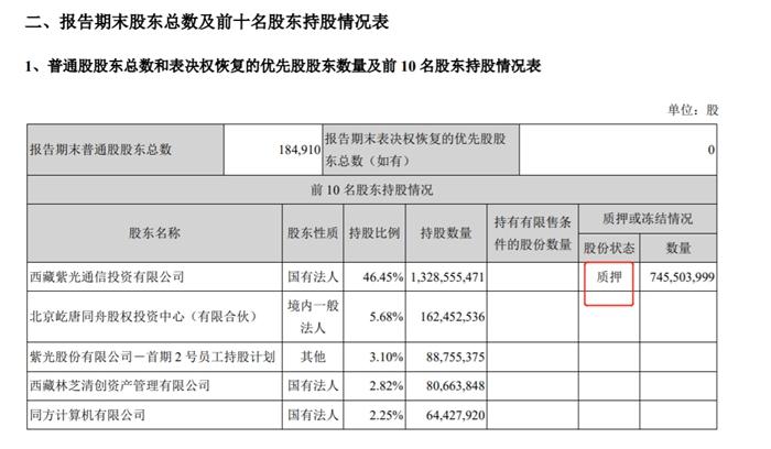 西藏紫光通信投资有限公司在紫光股份中的过半股份被质押。紫光股份2021年一季度财报截图。