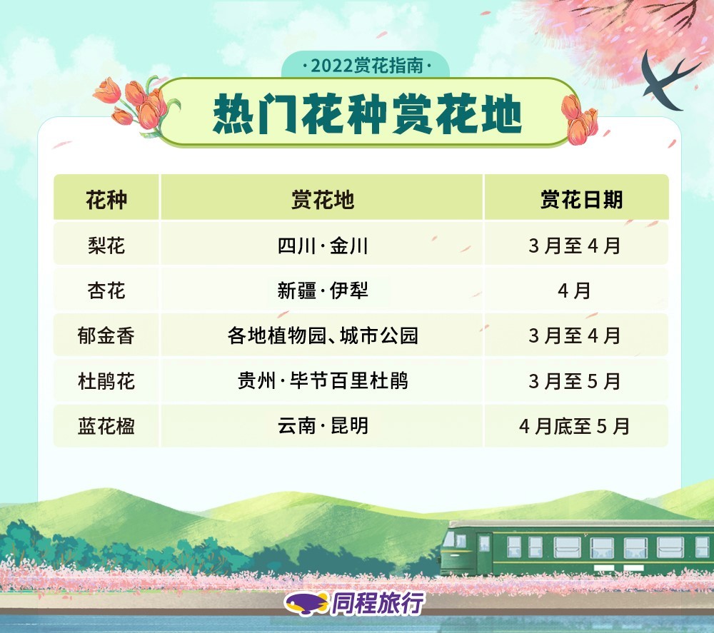 赏花游热度上涨175同程旅行00780联手墨迹天气推出赏花指南