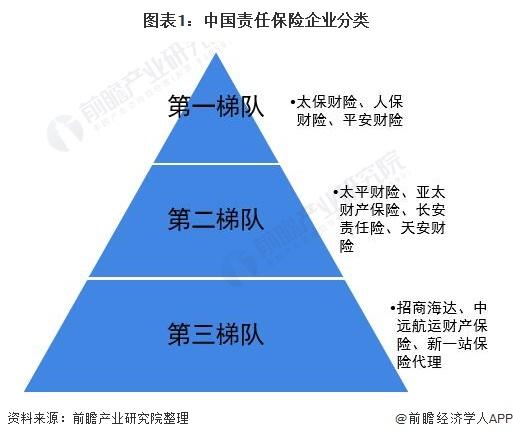 图表1:中国责任保险企业分类