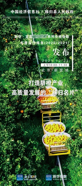 《千里马计划为什么停了_新华·宜昌秭归脐橙系列价格指数年度运行报告暨秭归优质果标准发布会即将召开》