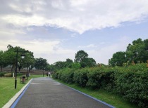 2022年中央一号文件出炉 农机、种业、数字乡村等概念站上风口（附名单）