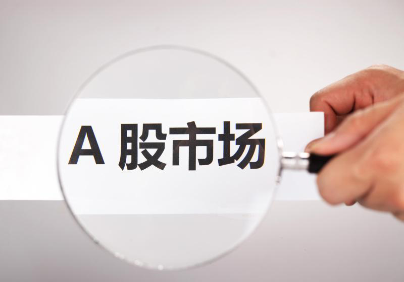 回望2021 A股这十大热门板块