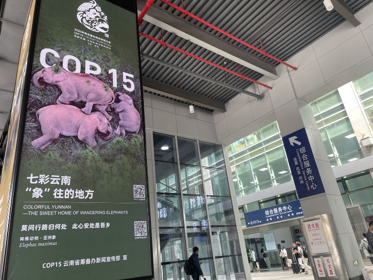千里马计划官网2021最新版本_多家上市滇企亮相COP15“朋友圈” 台前幕后共赴盛会 千里马计划官网2021最新版本_多家上市滇企亮相COP15“朋友圈” 台前幕后共赴盛会