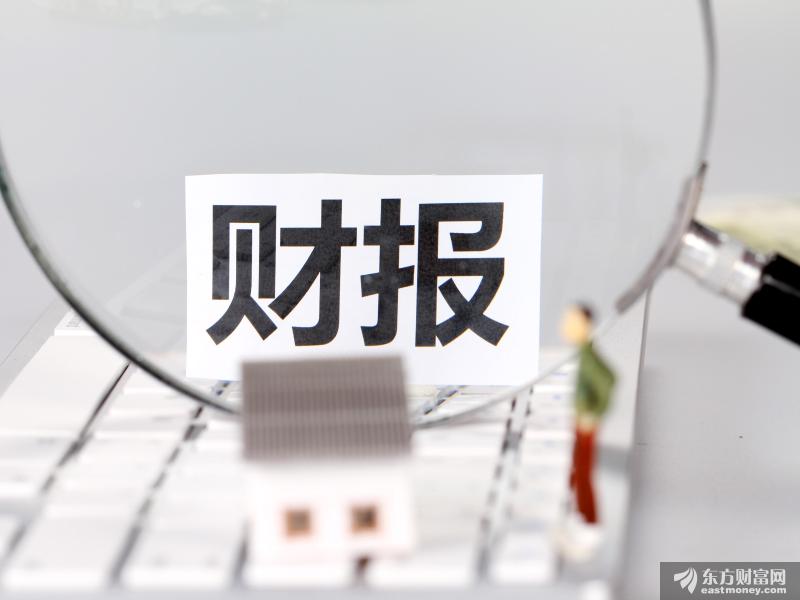 拼多多2020年第四季度营收265.5亿