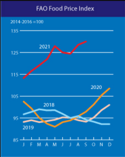 联合国粮农组织食品价格指数创十年新高(来源:FAO)