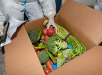 上海：对危害食品安全犯罪零容忍！家乐福将恢复线上营业！一图读懂就医流程