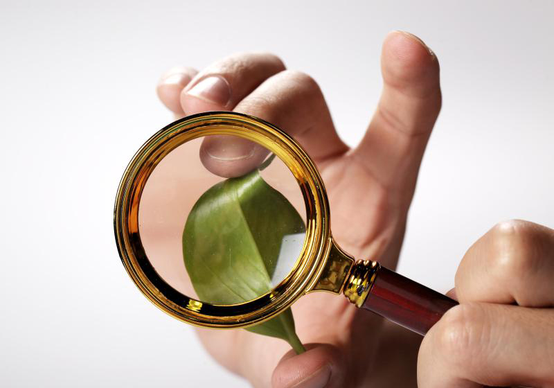 严厉打击以市值管理之名实施操纵市场