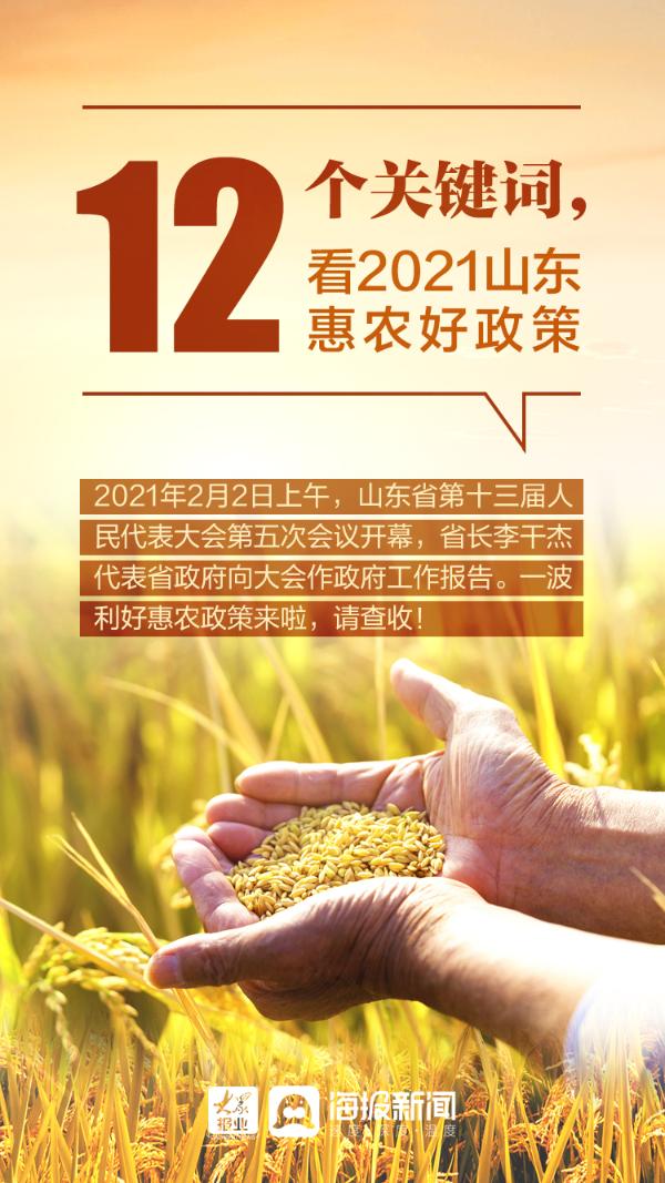 12个关键词 看2021山东惠农好政策