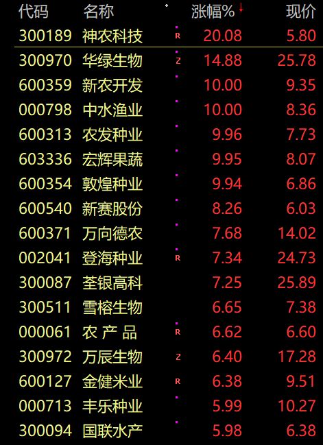 D25140962078482089532_w471h649.jpg