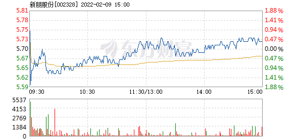 新朋股份2月9日快速回调 