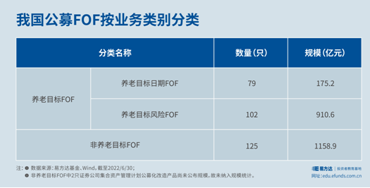 FOF基金分类_买基金撤不出来吗_FOF投资类型