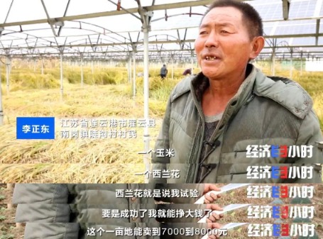 《千里马计划官网2021最新版本_荒地变宝地!有村民年入30万元!靠它就能“吸金”》