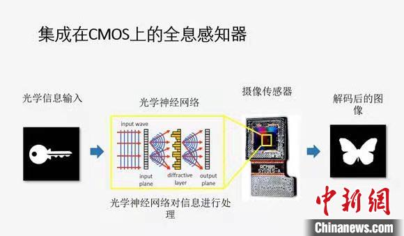 集成在CMOS上的全息感知器的示意图。 