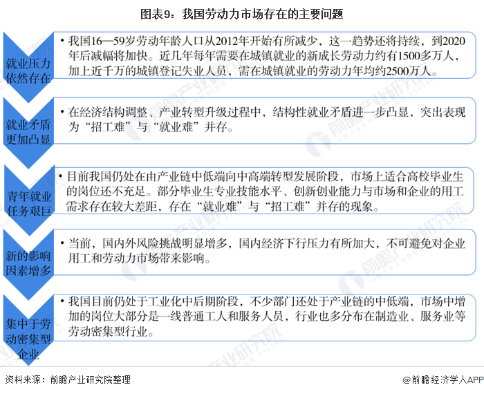 图表9:我国劳动力市场存在的主要问题