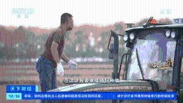 《比千里马更靠谱的计划_中国人每9碗饭中 就有1碗来自这里!咱“中华大粮仓”产量或再创新高!还补贴477亿元!》