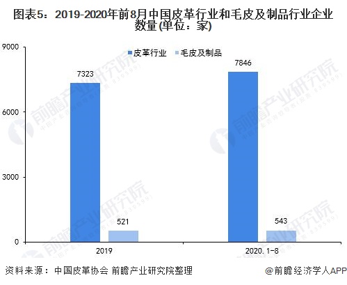 图表5:2019-2020年前8月中国皮革行业和毛皮及制品行业企业数量(单位：家)