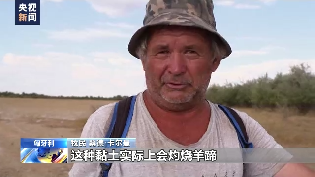 欧洲多国高温干旱持续 意大利匈牙利多个湖泊水位骤降