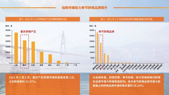奉节品牌网站建设咨询_(奉节品牌网站建设咨询有限公司)