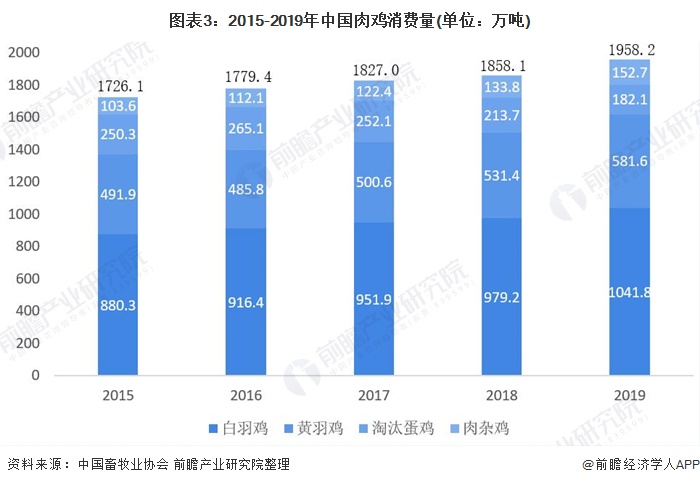 图表3:2015-2019年中国肉鸡消费量(单位：万吨)