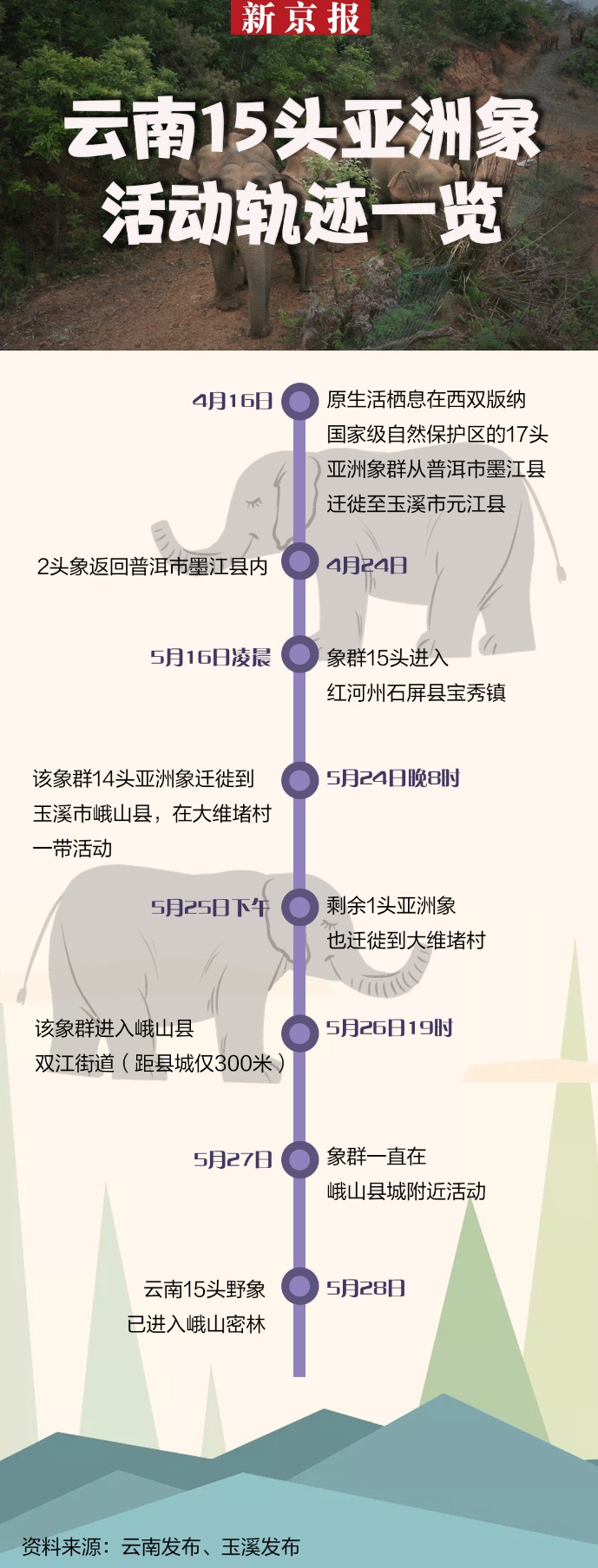 此前亚洲象的活动轨迹象群北迁以来,云南省林业和草原局,玉溪市高度