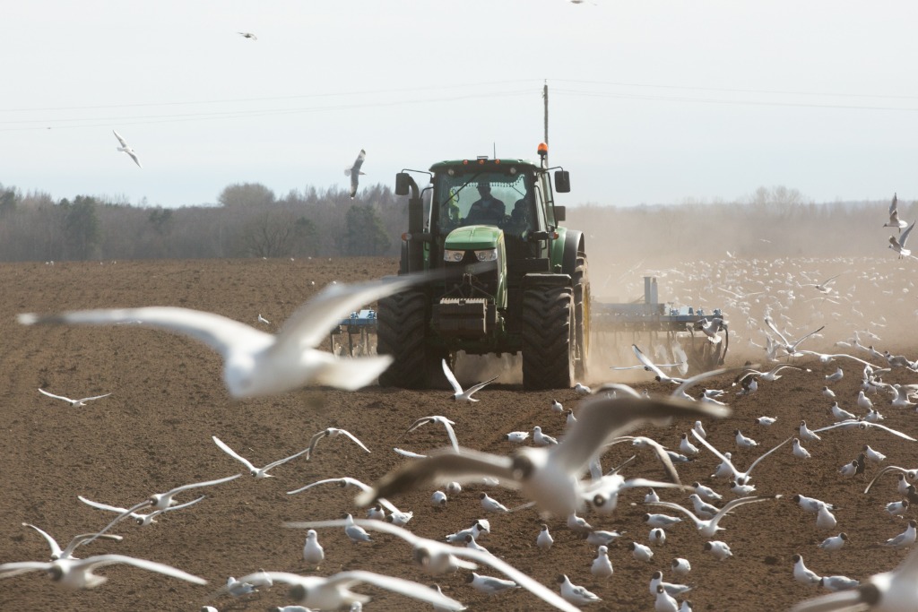 1645931537232.jpeg 1645931537232.jpeg