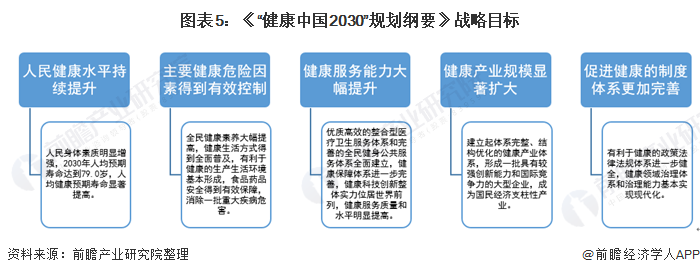图表5:《健康中国2030规划纲要》战略目标