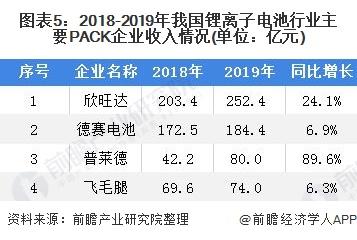 图表5:2018-2019年我国锂离子电池行业主要PACK企业收入情况(单位：亿元)