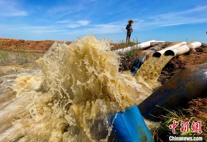江西省九江市都昌县周溪镇枭阳10号附坝,抽水泵在鄱阳湖取水,经过三级提灌,为坝内五千亩稻田灌溉保苗。 江西省九江市都昌县周溪镇枭阳10号附坝,抽水泵在鄱阳湖取水,经过三级提灌,为坝内五千亩稻田灌溉保苗。