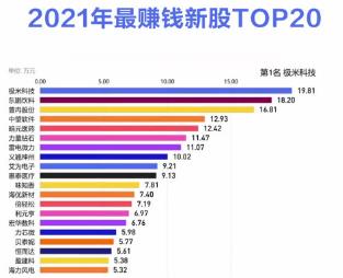 2021年最赚钱新股TOP20出炉