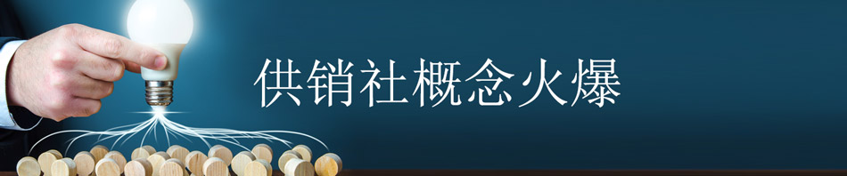 供销社概念火爆