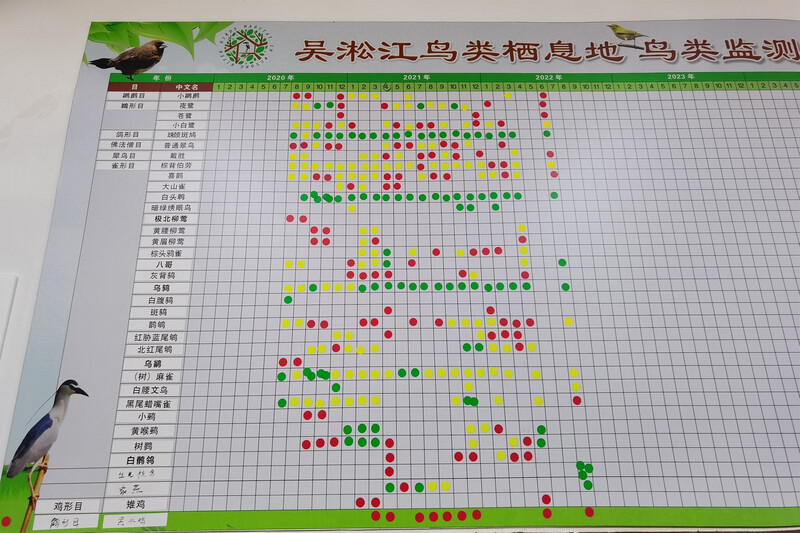 《千里马计划透明计划_种几棵树就能帮野生动物“安家”？上海发展生物多样性 有这些挑战与机遇》