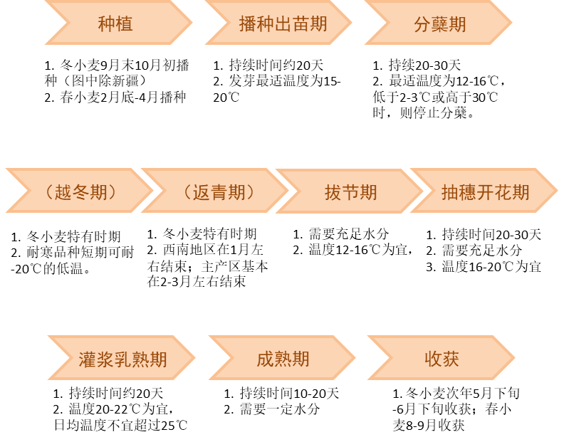 图16 小麦生长期及适应条件来源:重点农产品市场信息平台图15 小麦主