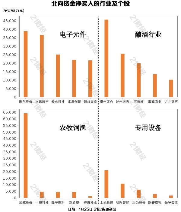 A股再次“醉酒”，北向基金已经大量购买了这些机构：外国净流入A股仍是主要基调_东方财富网