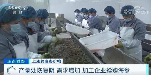 涨涨涨!有产品价格一斤猛涨600元!企业争着签合同!养它还能赚钱吗?
