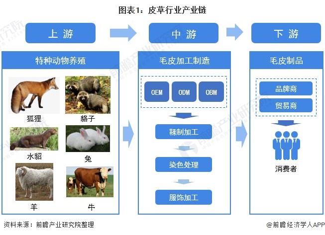 预见2021：《2021年中国皮草行业全景图谱》(附产业链现状、市场规模、区域分布等)