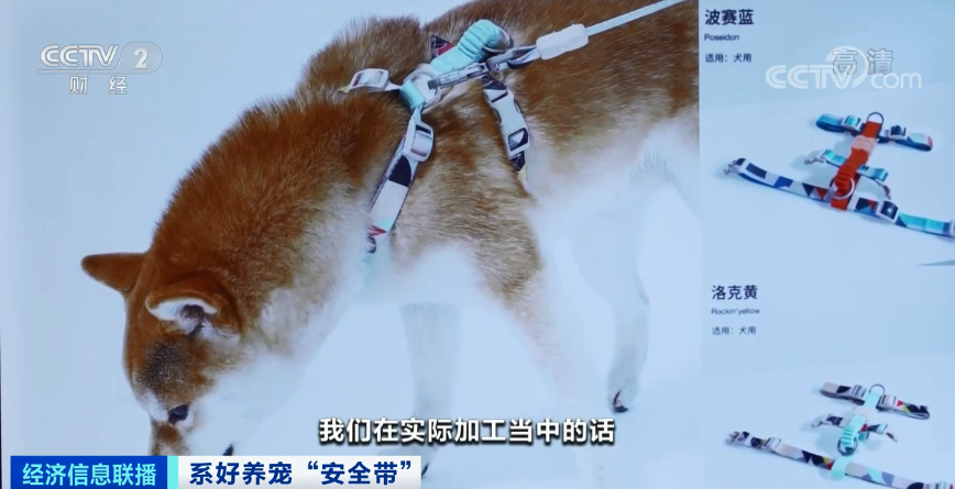 遛狗不拴绳涉嫌违法 不仅犬绳卖爆了这样东西更火 新商机来了 产经 华夏金融网
