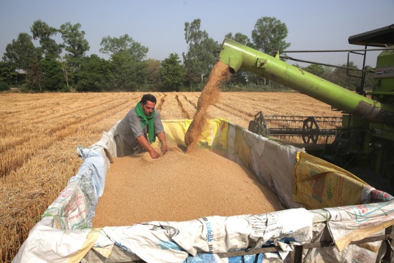天悦平台注册恒大一楼盘买车位才交房！粮食危机逼近 印度禁止小麦出口！