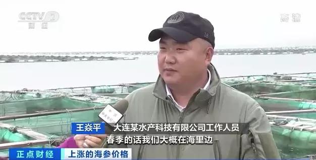 涨涨涨!有产品价格一斤猛涨600元!企业争着签合同!养它还能赚钱吗?