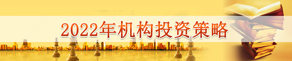 2022年机构投资策略
