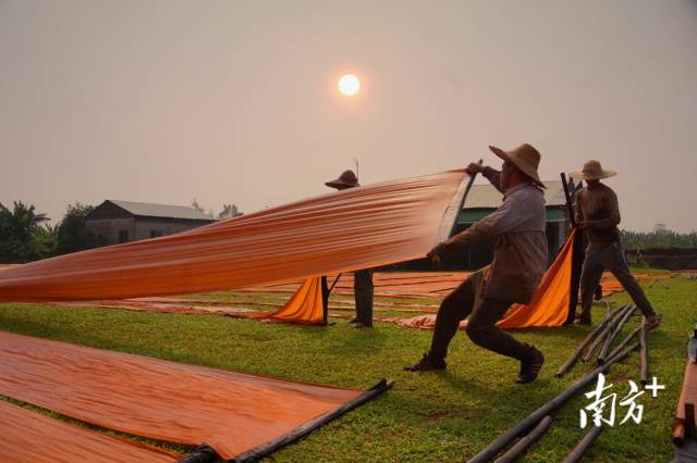 晾晒香云纱.祝平摄