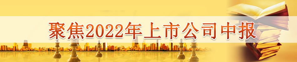 聚焦2022年上市公司中报