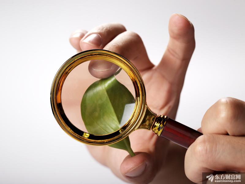 传统车企怎样才能掌握自己的“灵魂”？