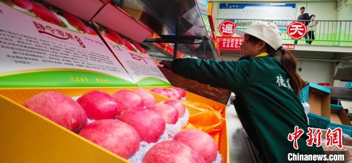 《千里马免费计划app _甘肃苹果出口“主力军”受挫?国际高端市场要“苹”实力》