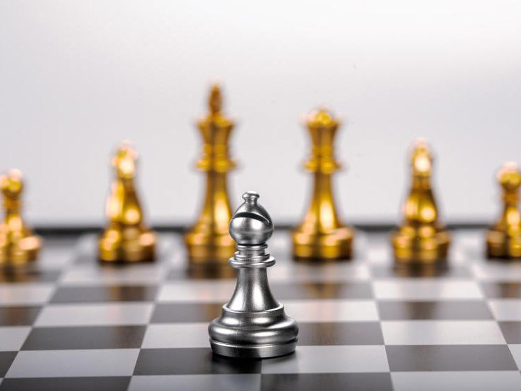 中药材一年上涨超过800%！