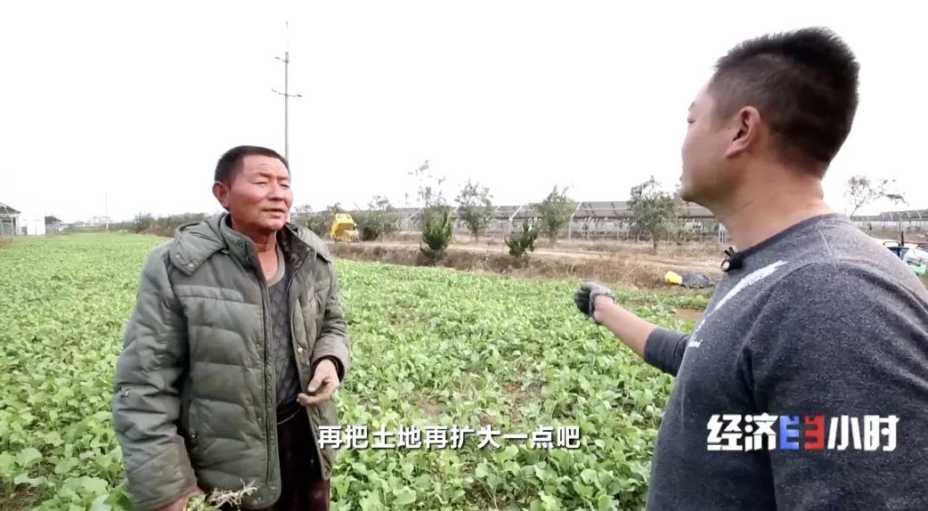 《千里马计划官网2021最新版本_荒地变宝地!有村民年入30万元!靠它就能“吸金”》